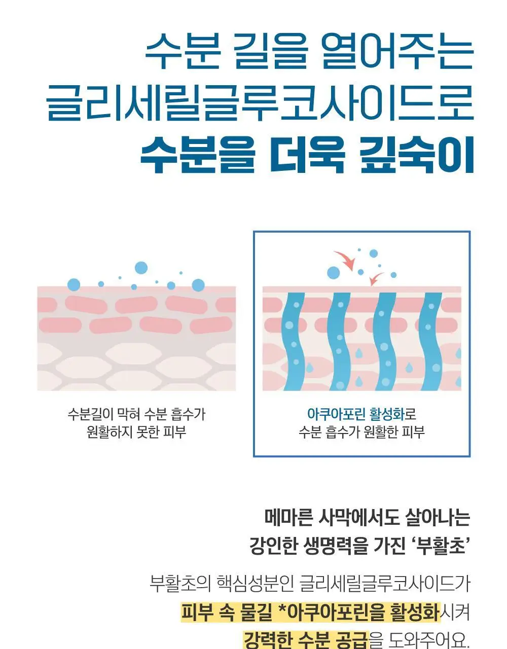 [빅사이즈/저자극] 라운드랩 자작나무 수분 클렌징 패드 60매 상세페이지 10